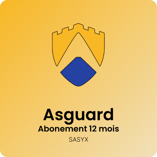 SASYX ABONNEMENT 12 MOIS
