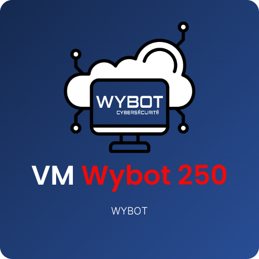 VM WYBOT 250