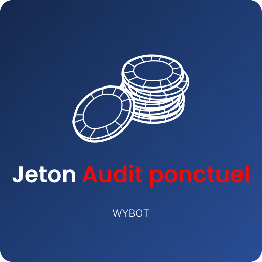 JETON AUDIT PONCTUEL